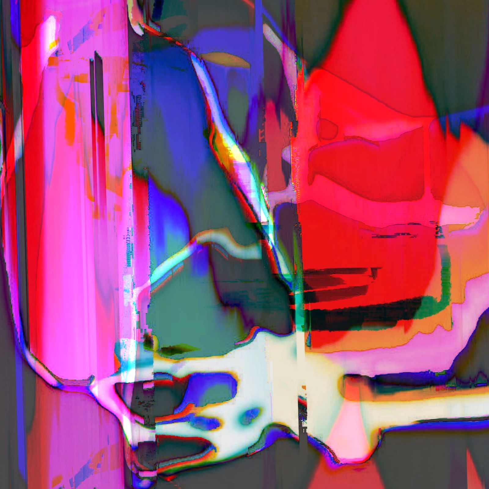 The Bones of Reality
