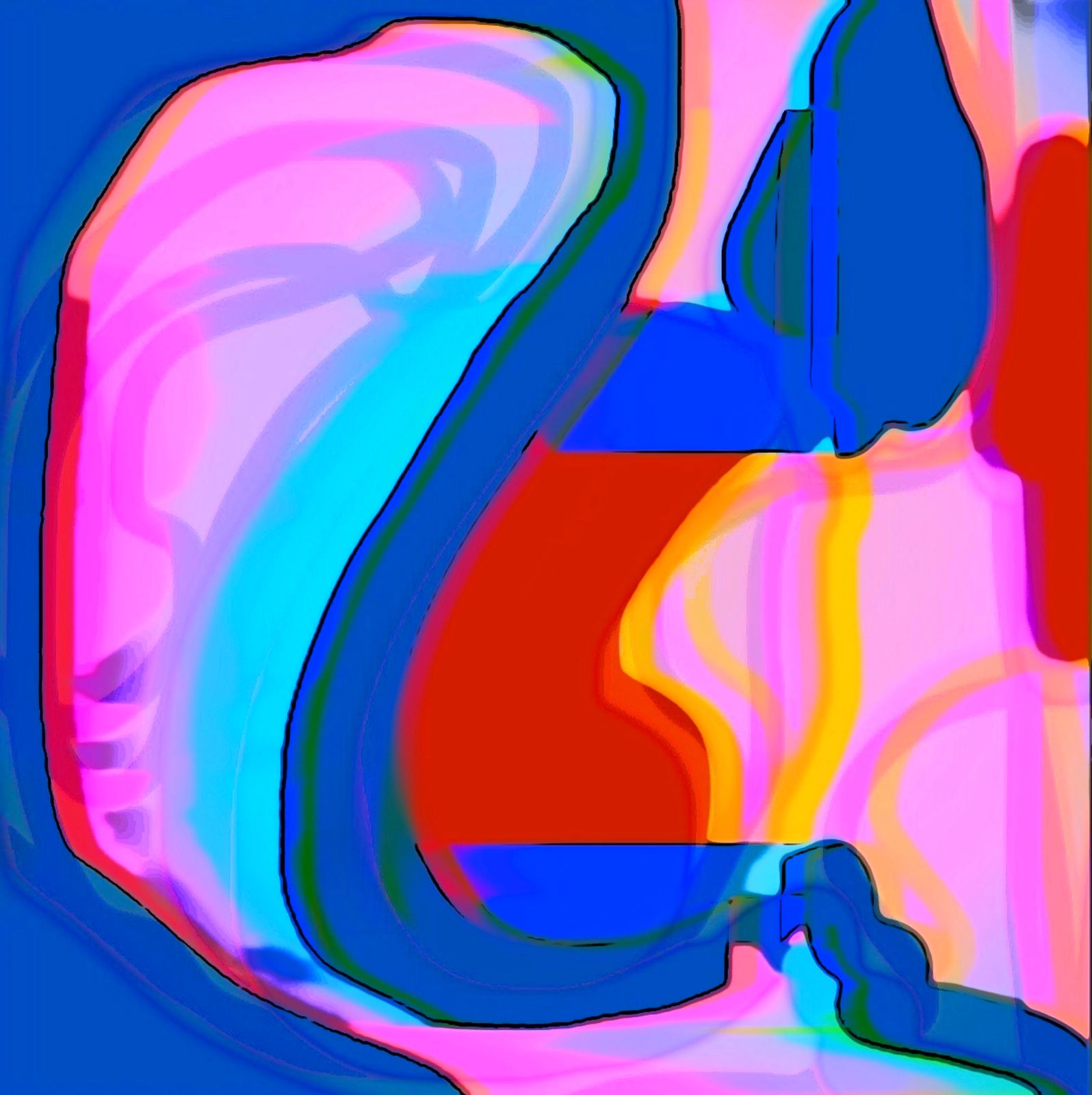External Organs