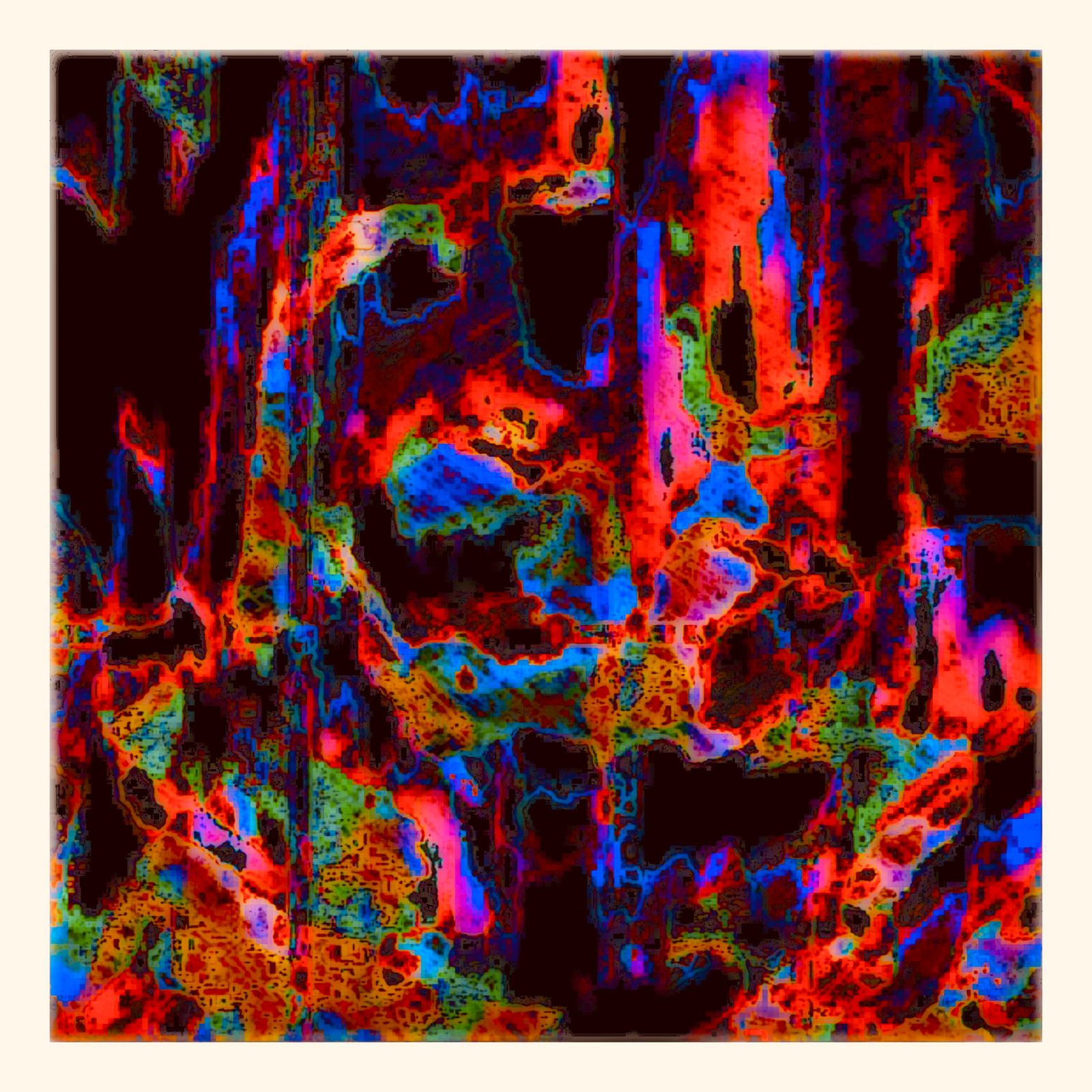 Neon Reef